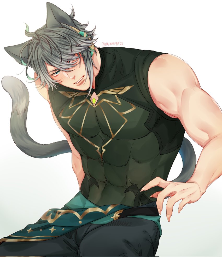 Alhaitham (Genshin Impact) Rule 34 Image
