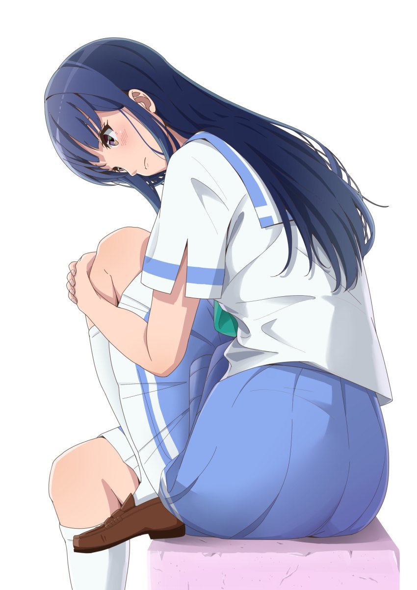 Yoroizuka Mizore (Hibike! Euphonium) Rule 34 Image