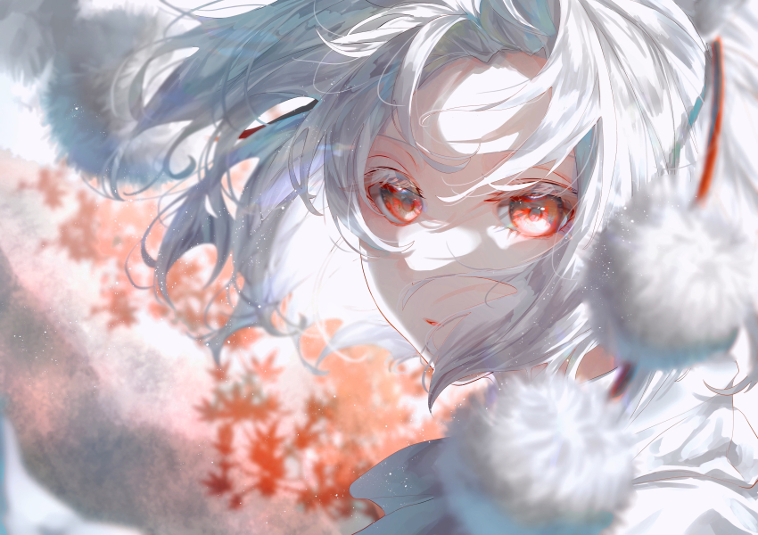 Inubashiri Momiji (Touhou) Rule 34 Image