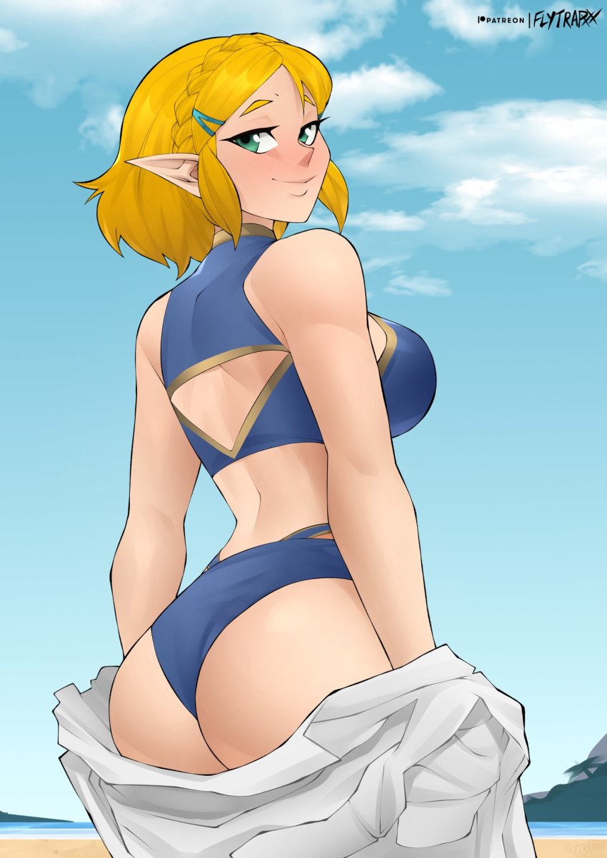 Princess Zelda (Nintendo) Rule 34 Image