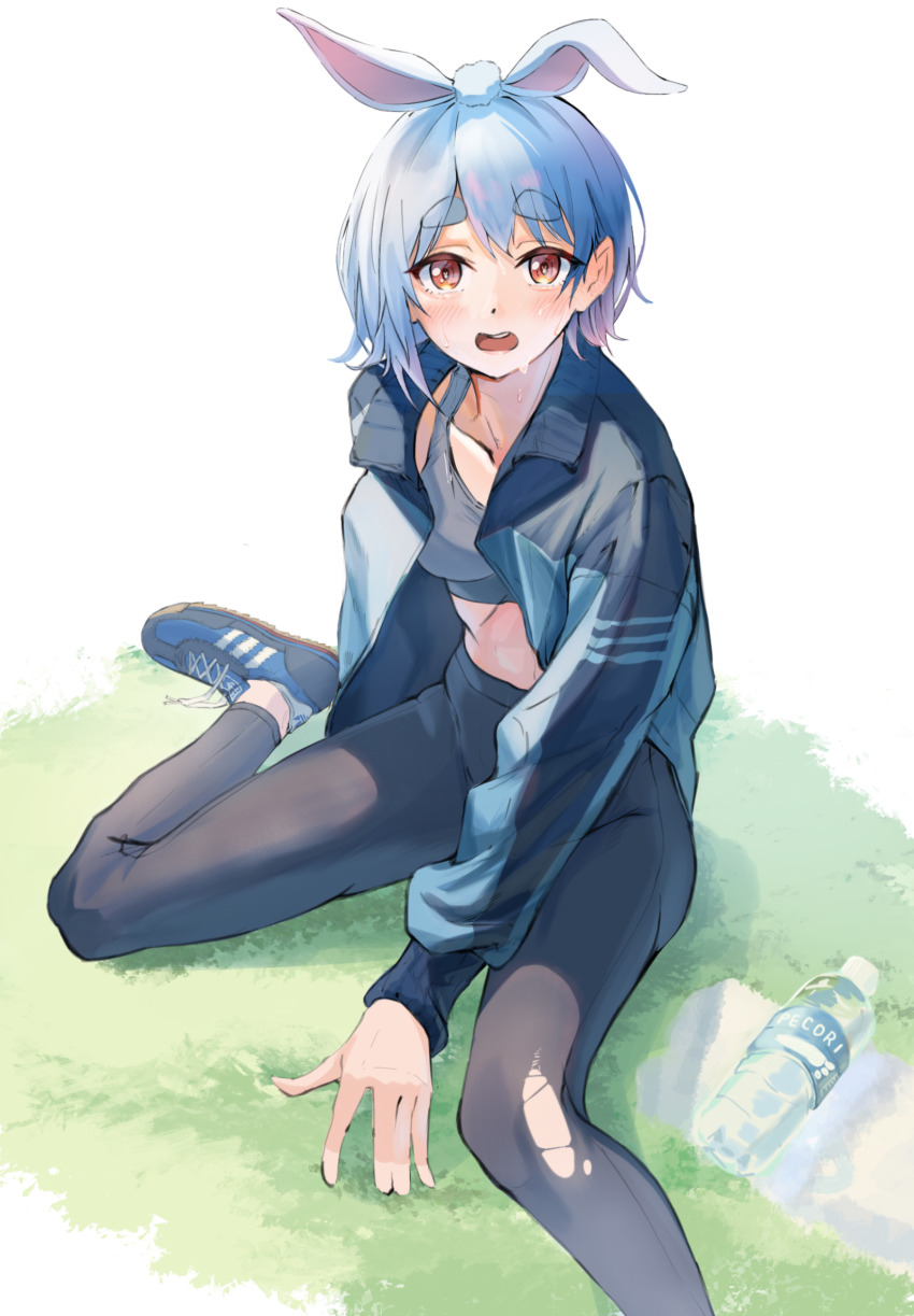 Usada Pekora (Adidas) Rule 34 Image