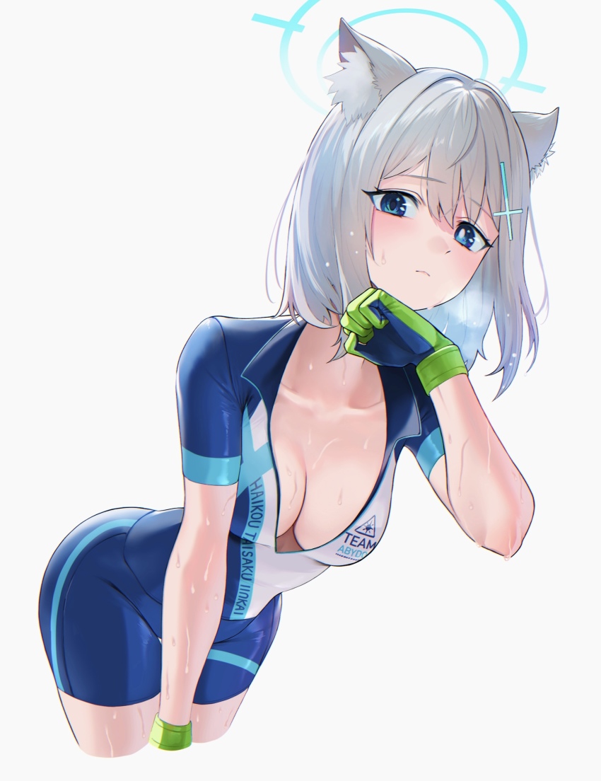 Shiroko (Blue Archive) Rule 34 Image