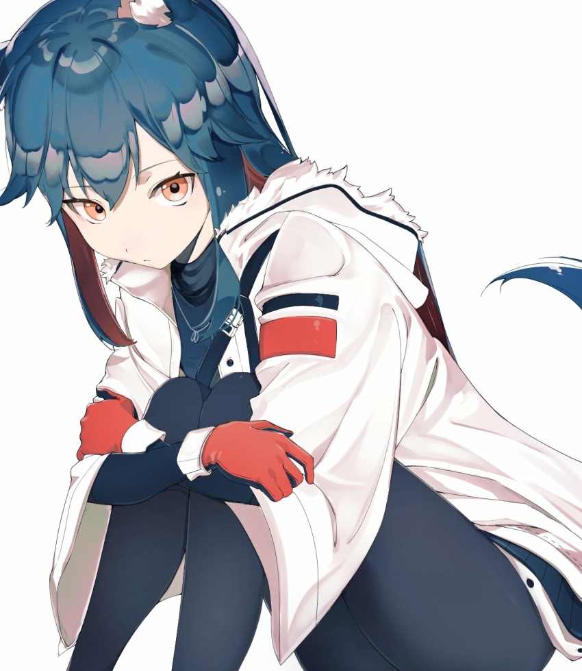 Texas (Arknights) Rule 34 Image