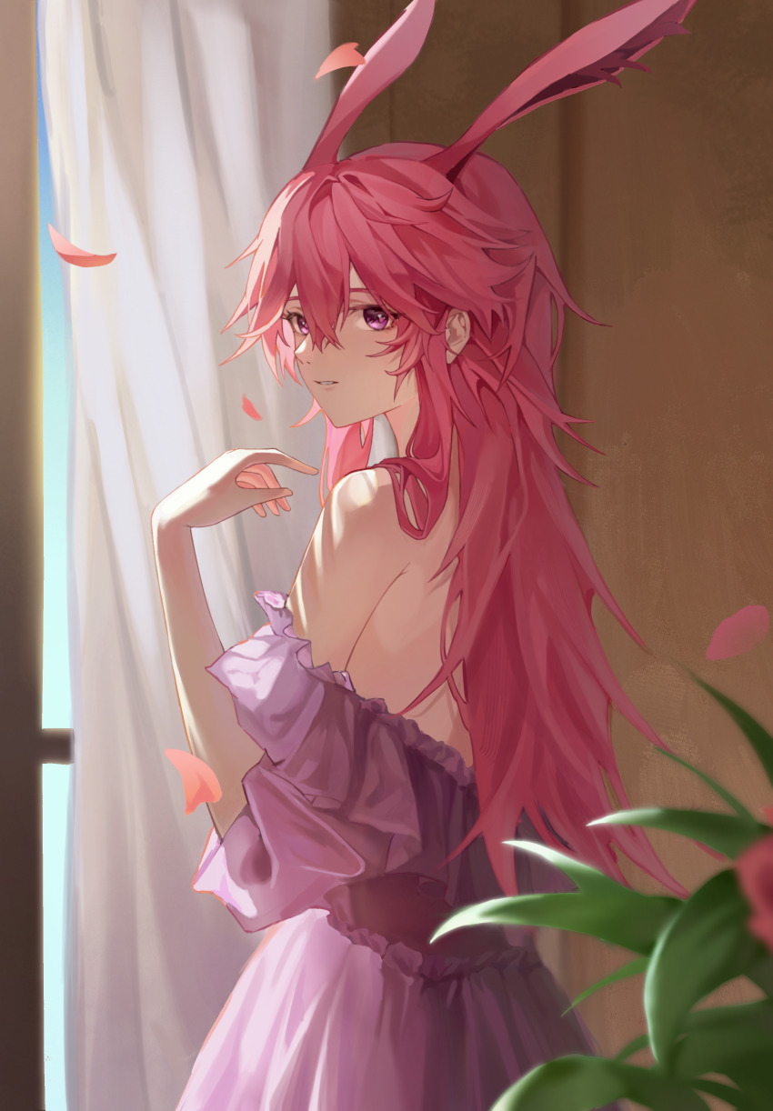 Yae Sakura (Honkai (Series)) Rule 34 Image