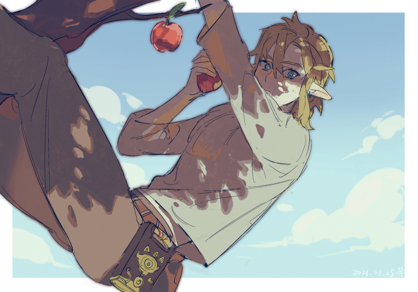 Link (Nintendo) Rule 34 Image