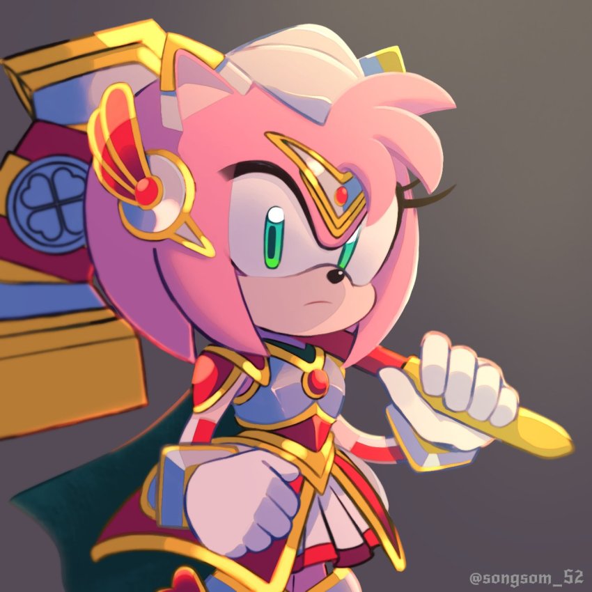 Amy Rose (Sonic (Series)) Rule 34 Image