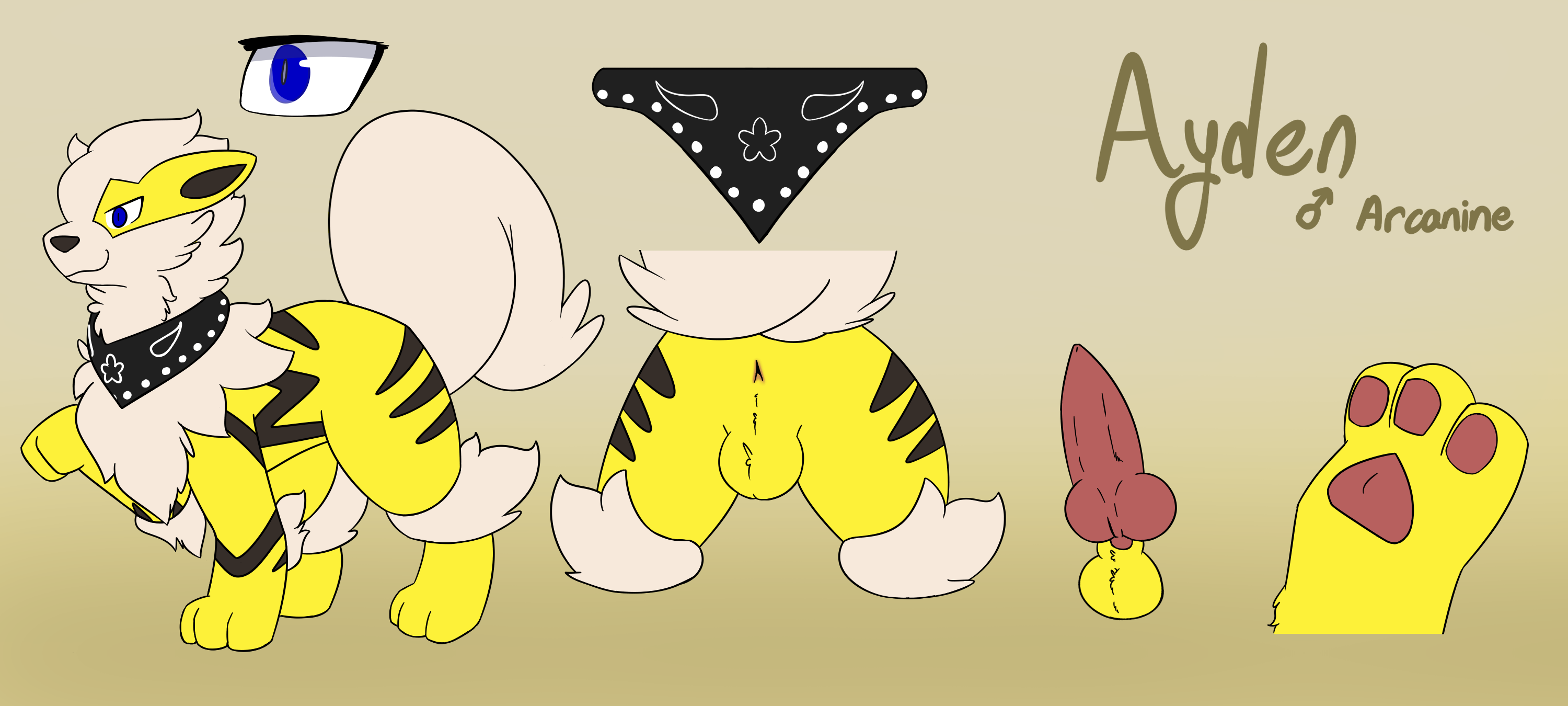 Arcanine (Nintendo) Rule 34 Image