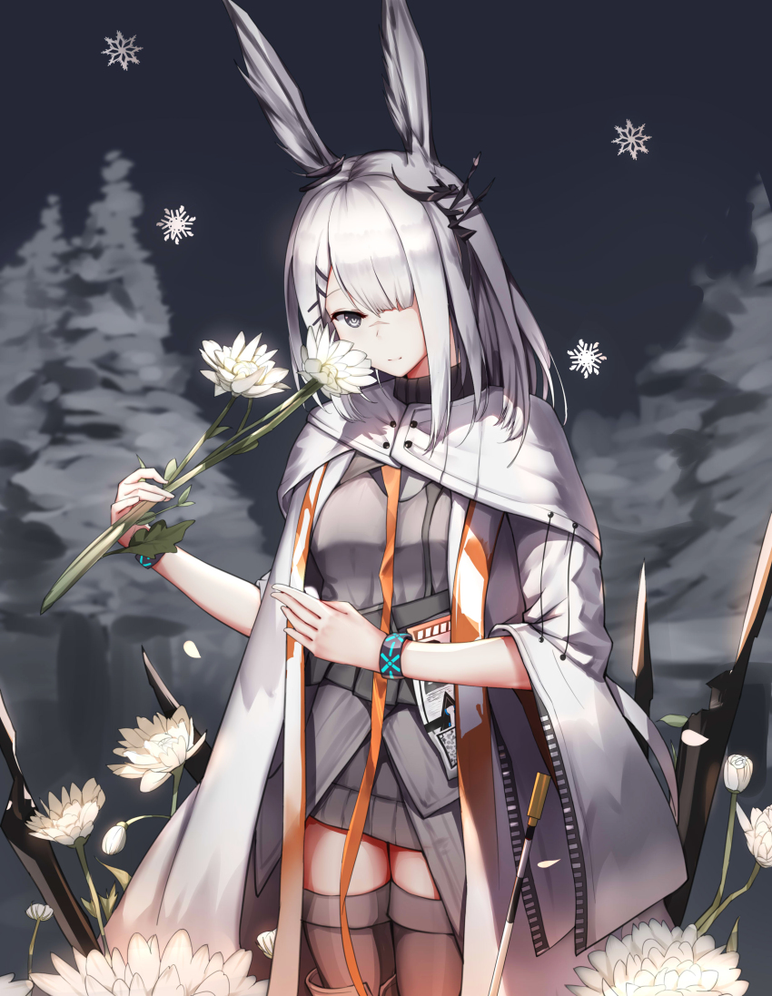 Frostnova (Arknights) Rule 34 Image