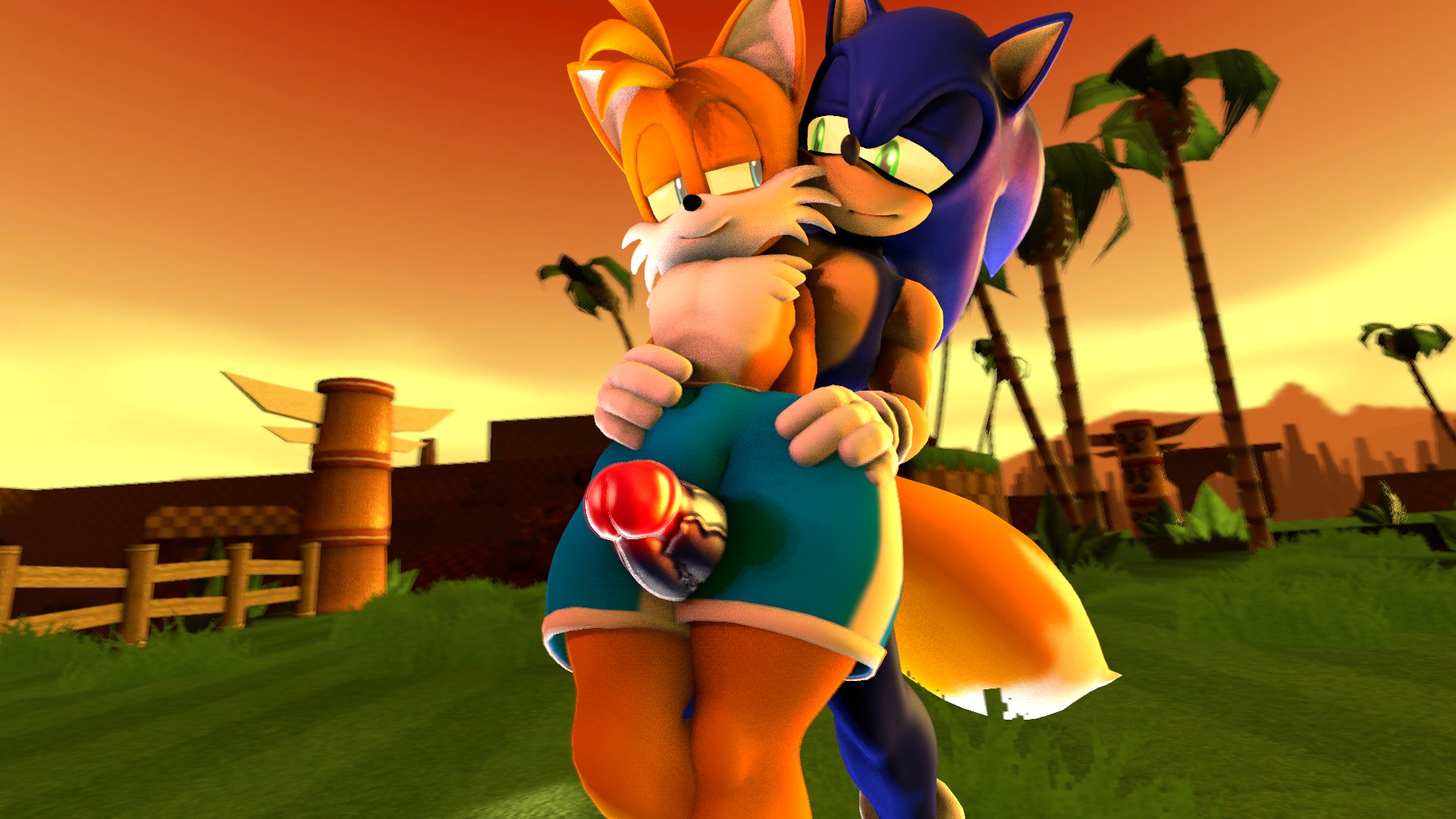 Sonic The Hedgehog (Sonic (Series)) Rule 34 Image
