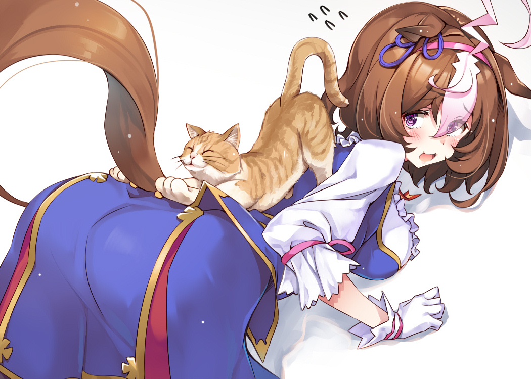 Meisho Doto (Umamusume) Rule 34 Image