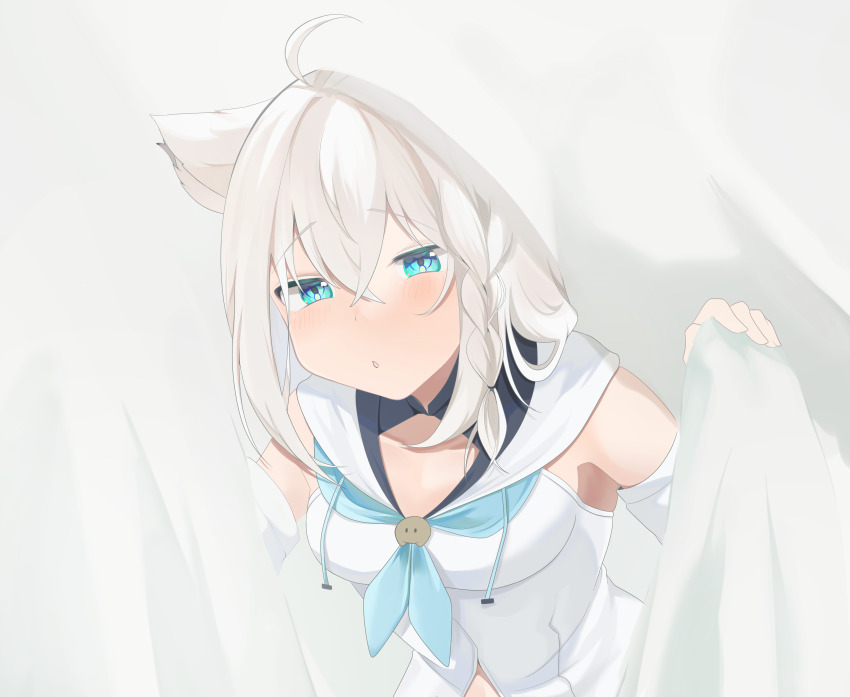 Shirakami Fubuki (Hololive) Rule 34 Image
