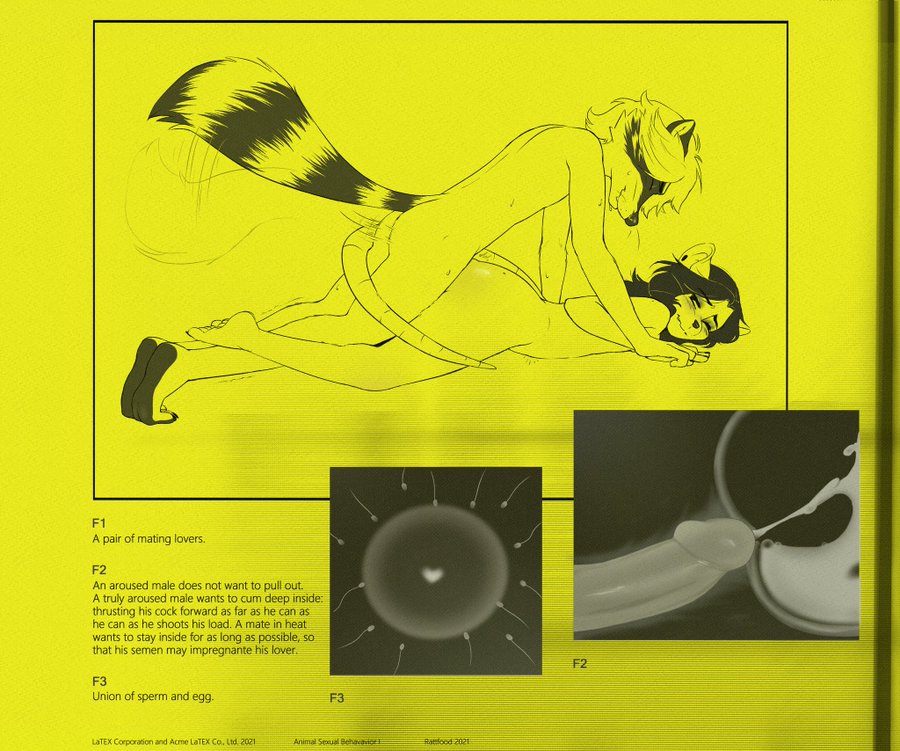 Anthro Rule 34 Image