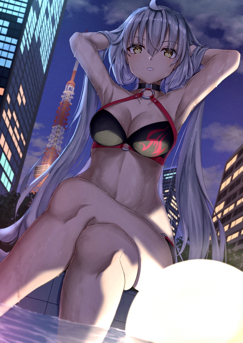 Jeanne D'Arc Alter (Fate) Rule 34 Image