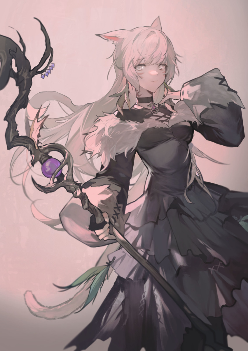 Miqo'Te (Final Fantasy) Rule 34 Image