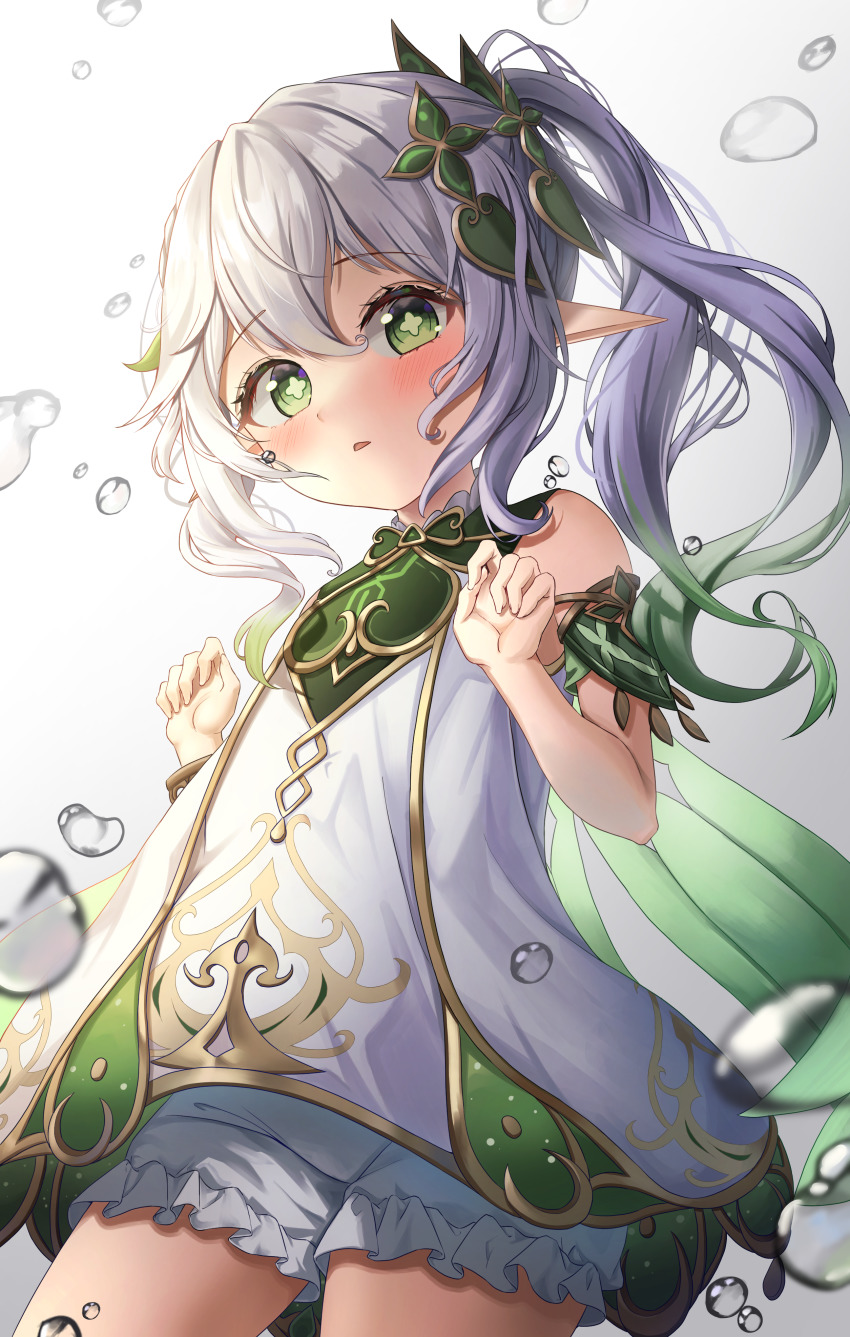 Nahida (Genshin Impact) Rule 34 Image