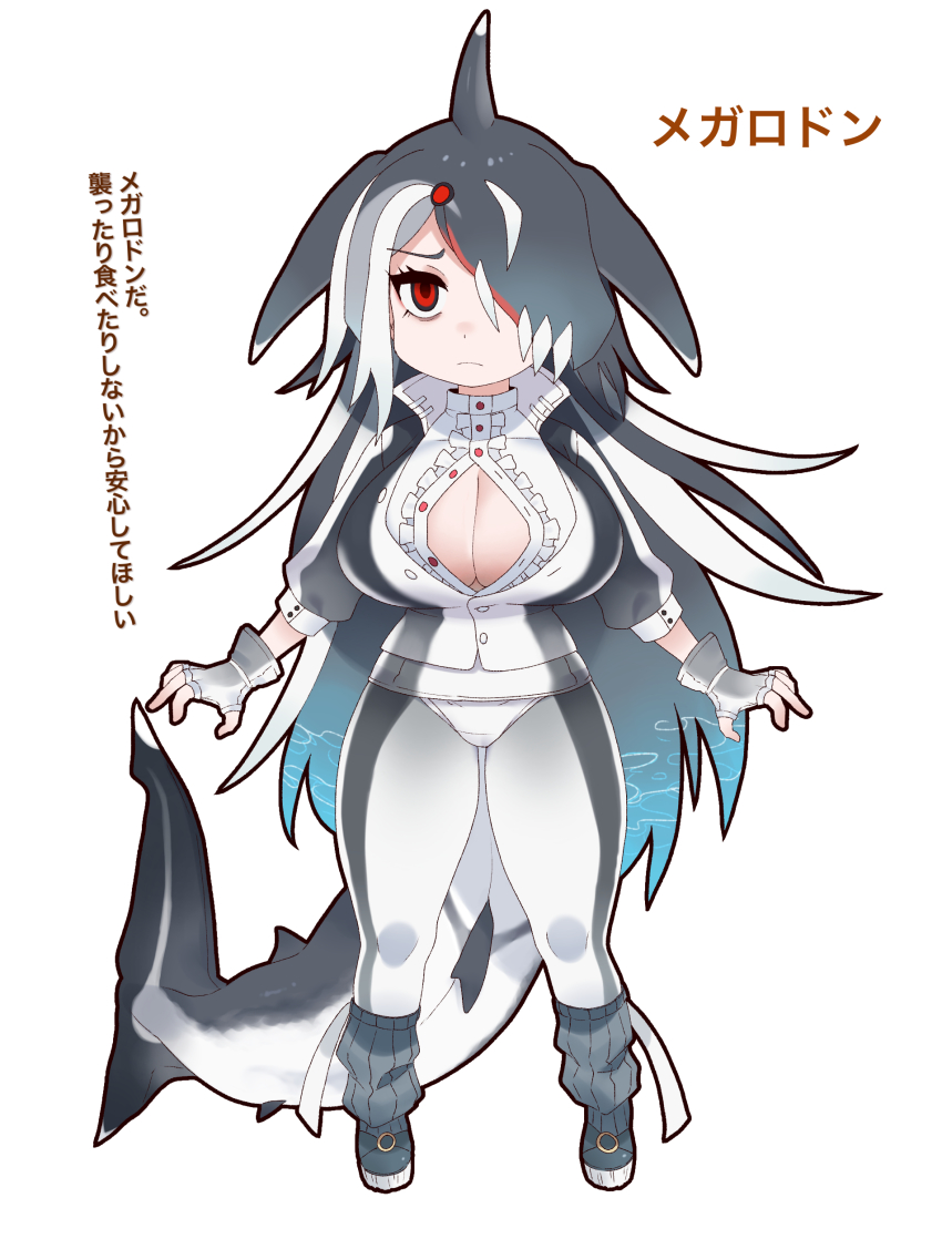 Kemono Friends Rule 34 Image