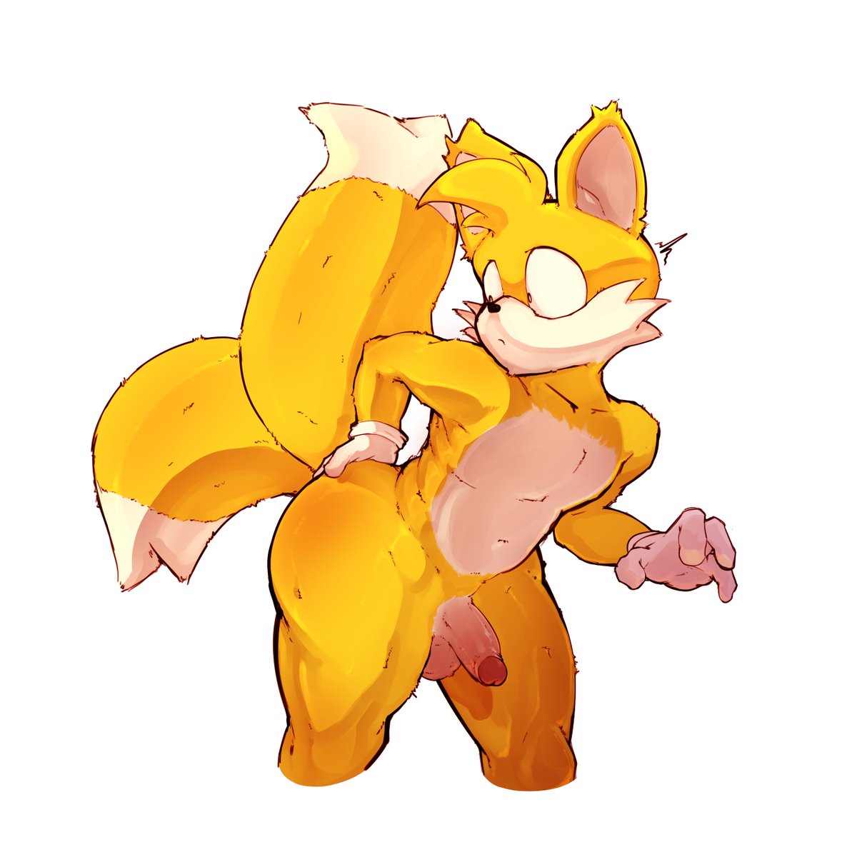 Miles Prower (Sega) Rule 34 Image