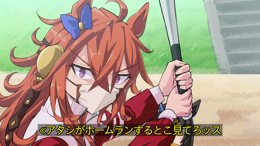 Umamusume Rule 34 Image