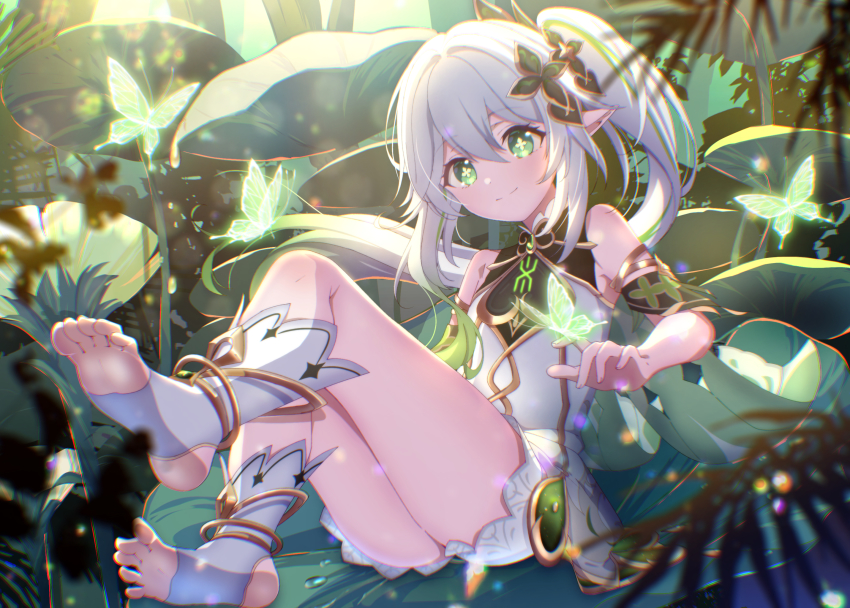 Nahida (Genshin Impact) Rule 34 Image