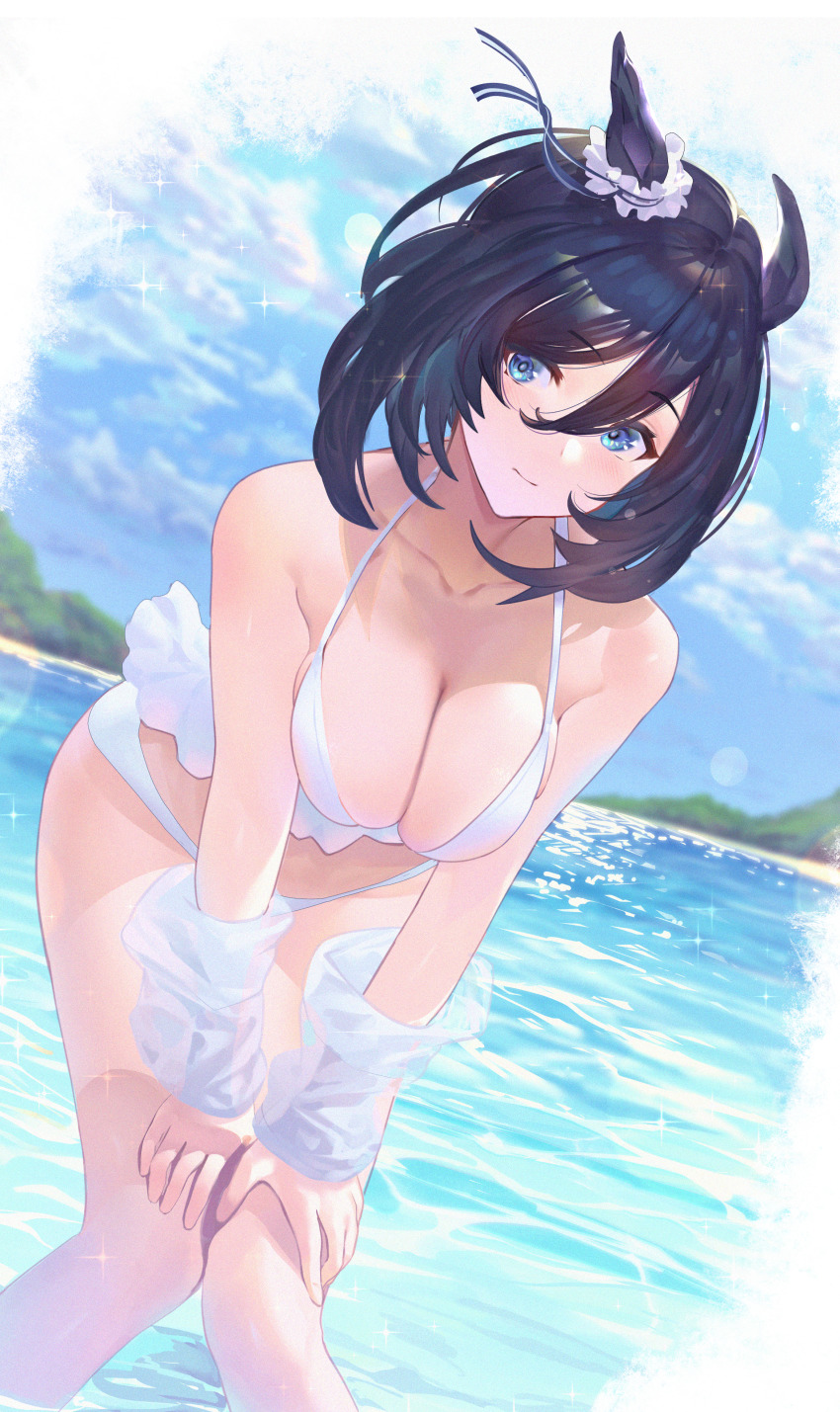 Eishin Flash (Umamusume) Rule 34 Image