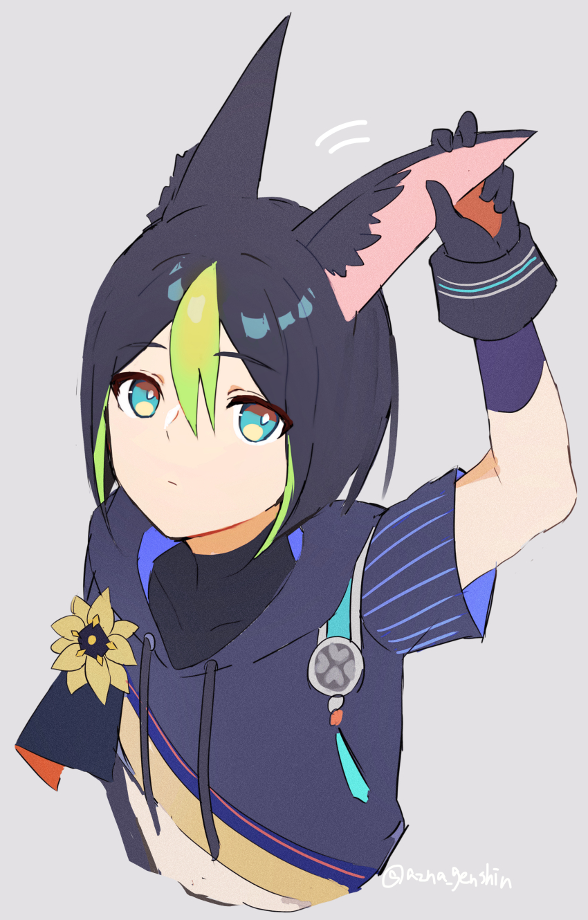 Tighnari (Genshin Impact) Rule 34 Image