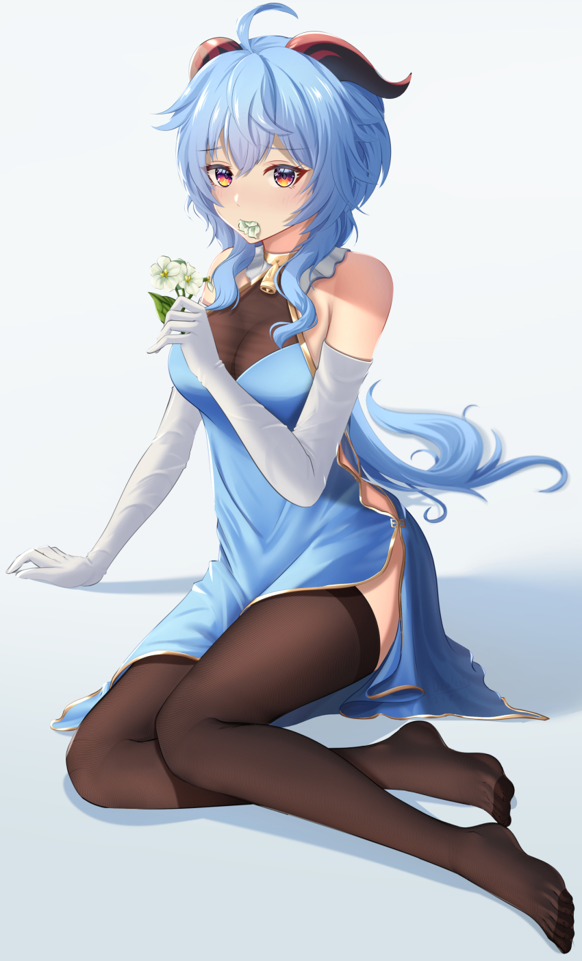 Ganyu (Genshin Impact) Rule 34 Image