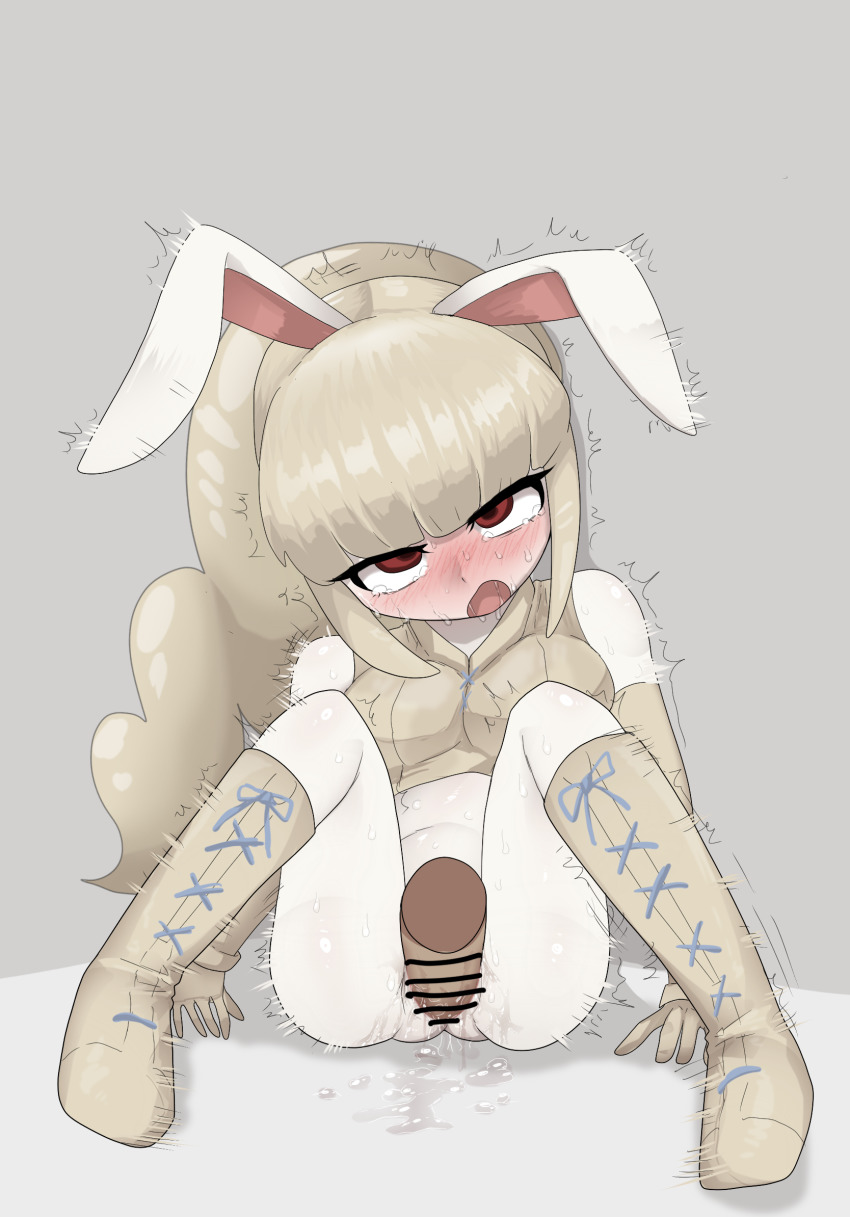Snowrabby Rule 34 Image