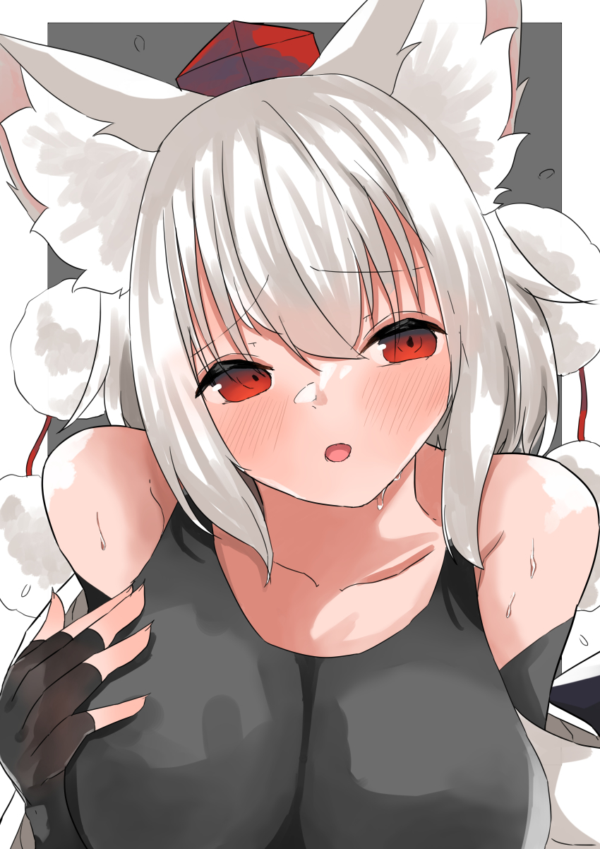 Inubashiri Momiji (Touhou) Rule 34 Image