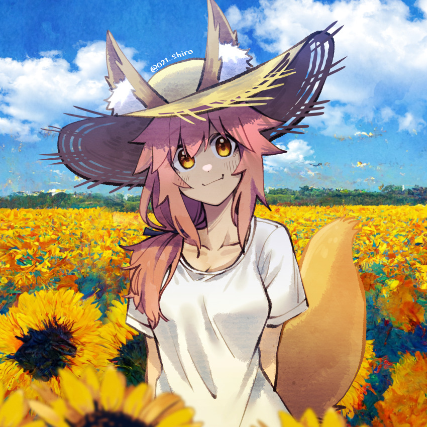 Tamamo No Mae (Fate) Rule 34 Image