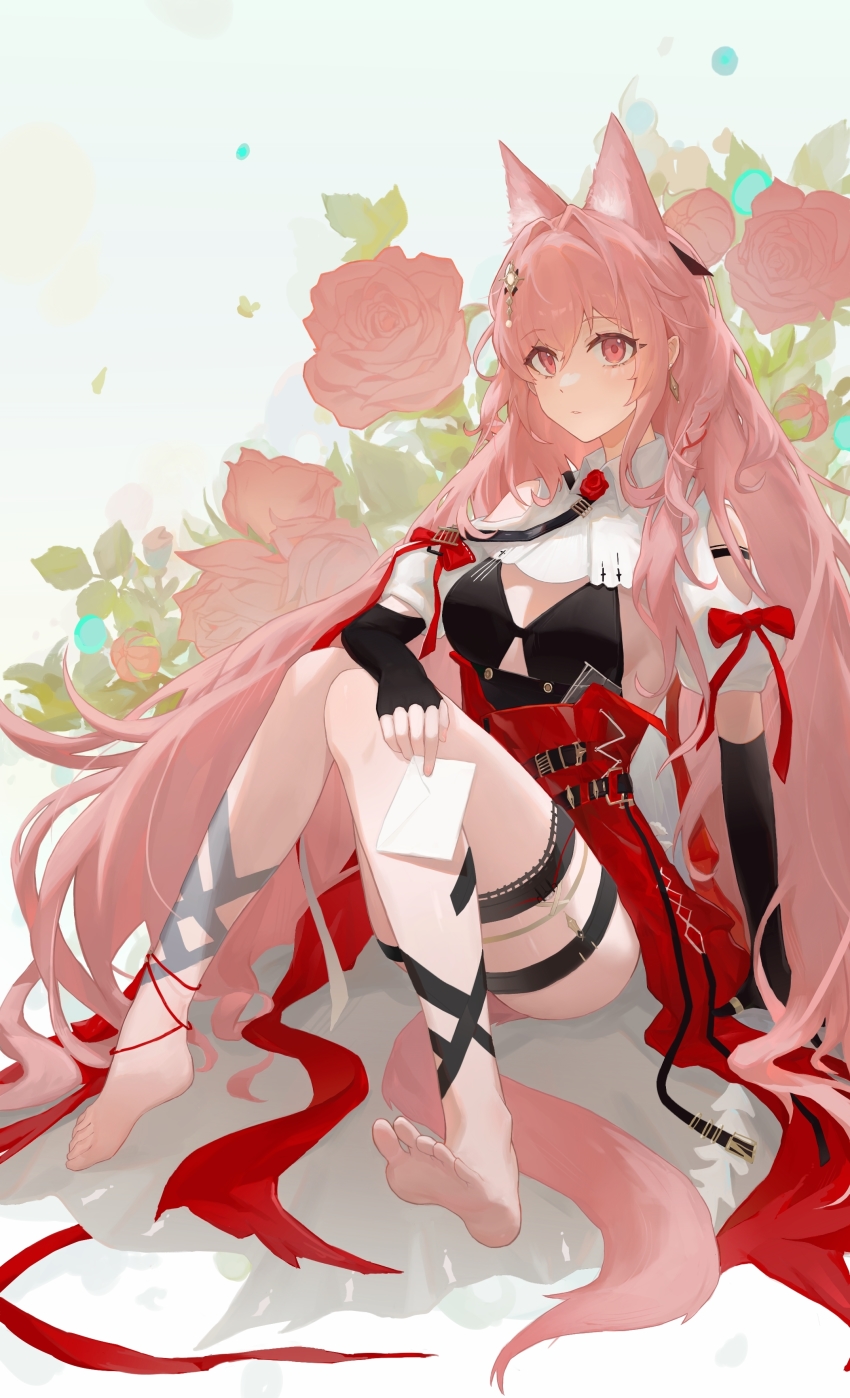 Pozyomka (Arknights) Rule 34 Image