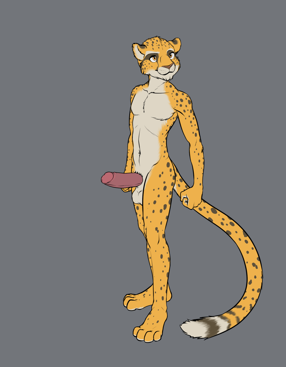 Anthro Rule 34 Image