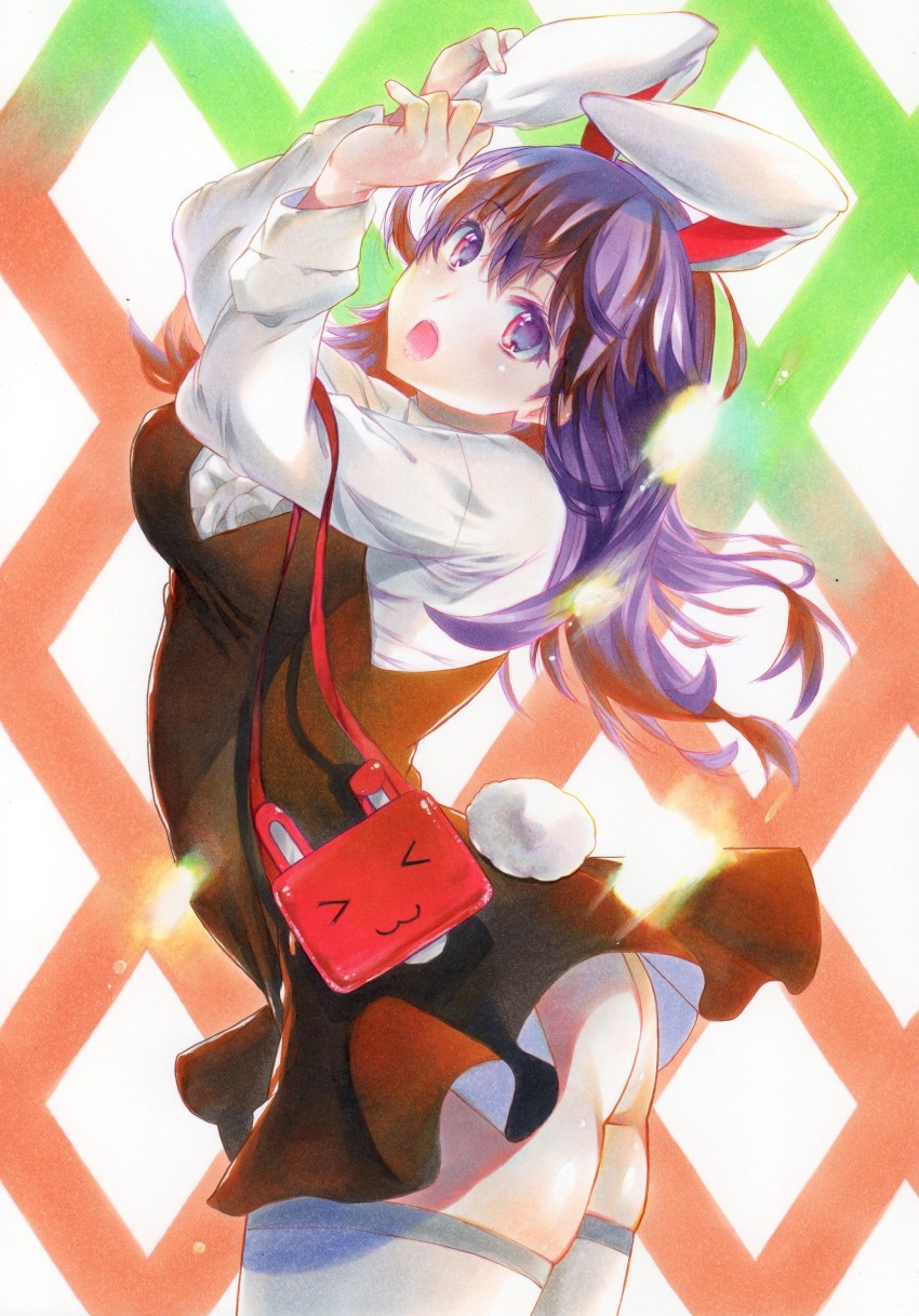 Reisen Udongein Inaba (Touhou) Rule 34 Image