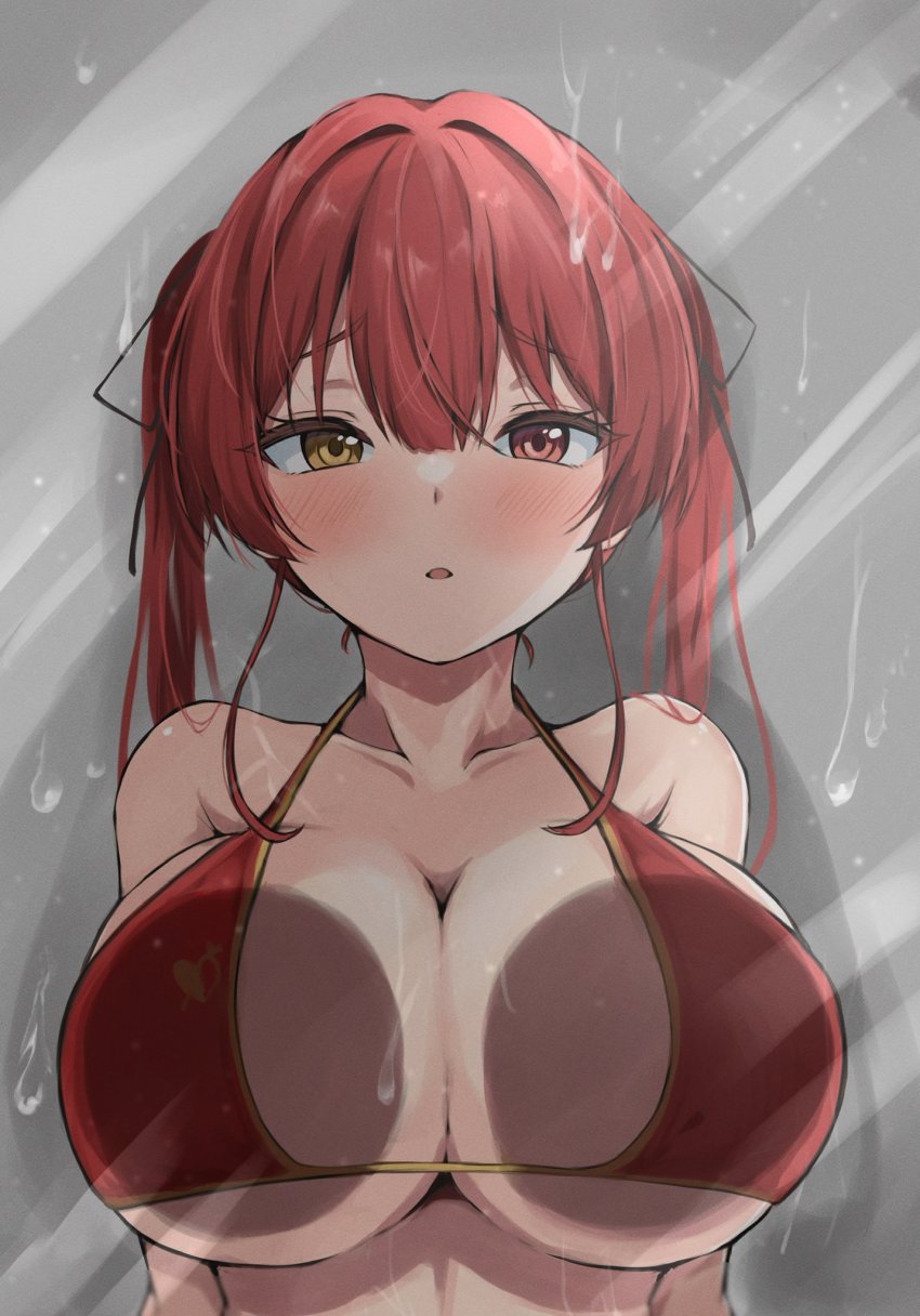 Houshou Marine (Hololive) Rule 34 Image