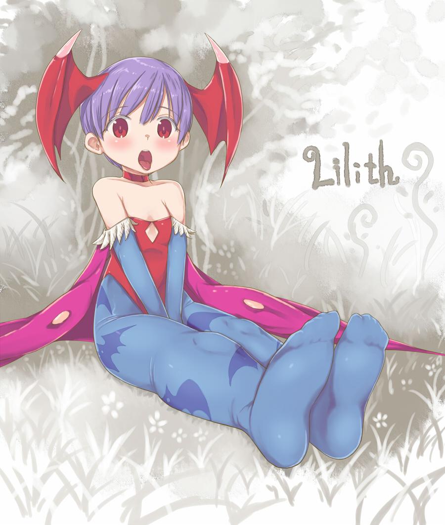 Lilith (Darkstalkers) Rule 34 Image