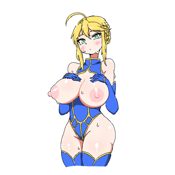 Artoria Pendragon (Lancer) (Fate) Rule 34 Image