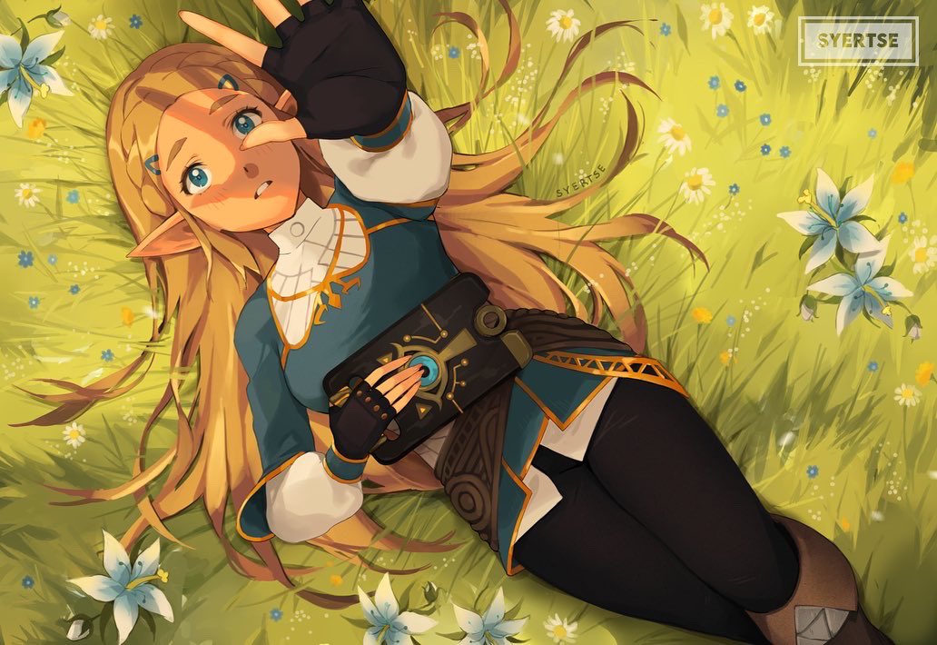 Princess Zelda (Nintendo) Rule 34 Image