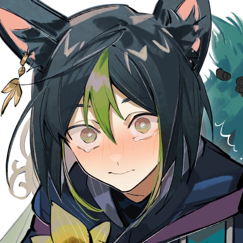 Tighnari (Genshin Impact) Rule 34 Image