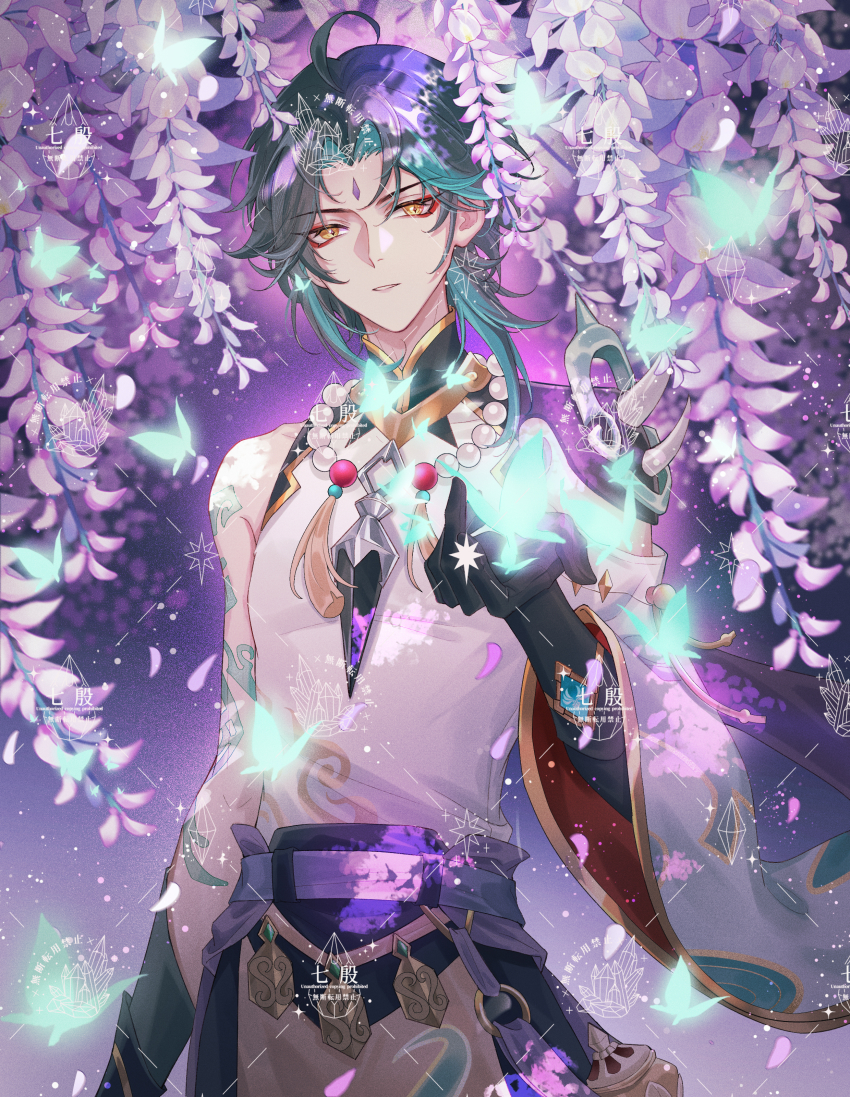 Wisteria (Genshin Impact) Rule 34 Image