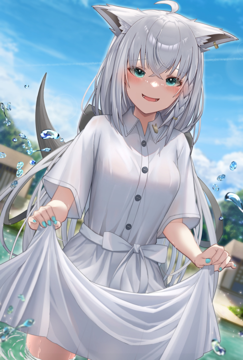 Shirakami Fubuki (Hololive) Rule 34 Image