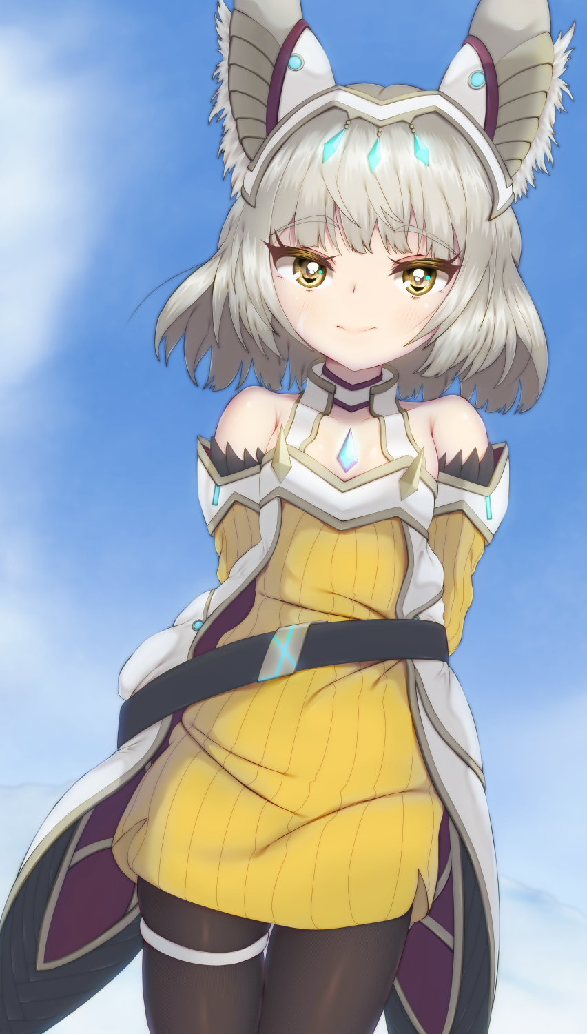 Nia (Blade) (Xenoblade) Rule 34 Image