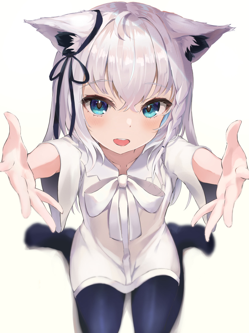 Shirakami Fubuki (Hololive) Rule 34 Image