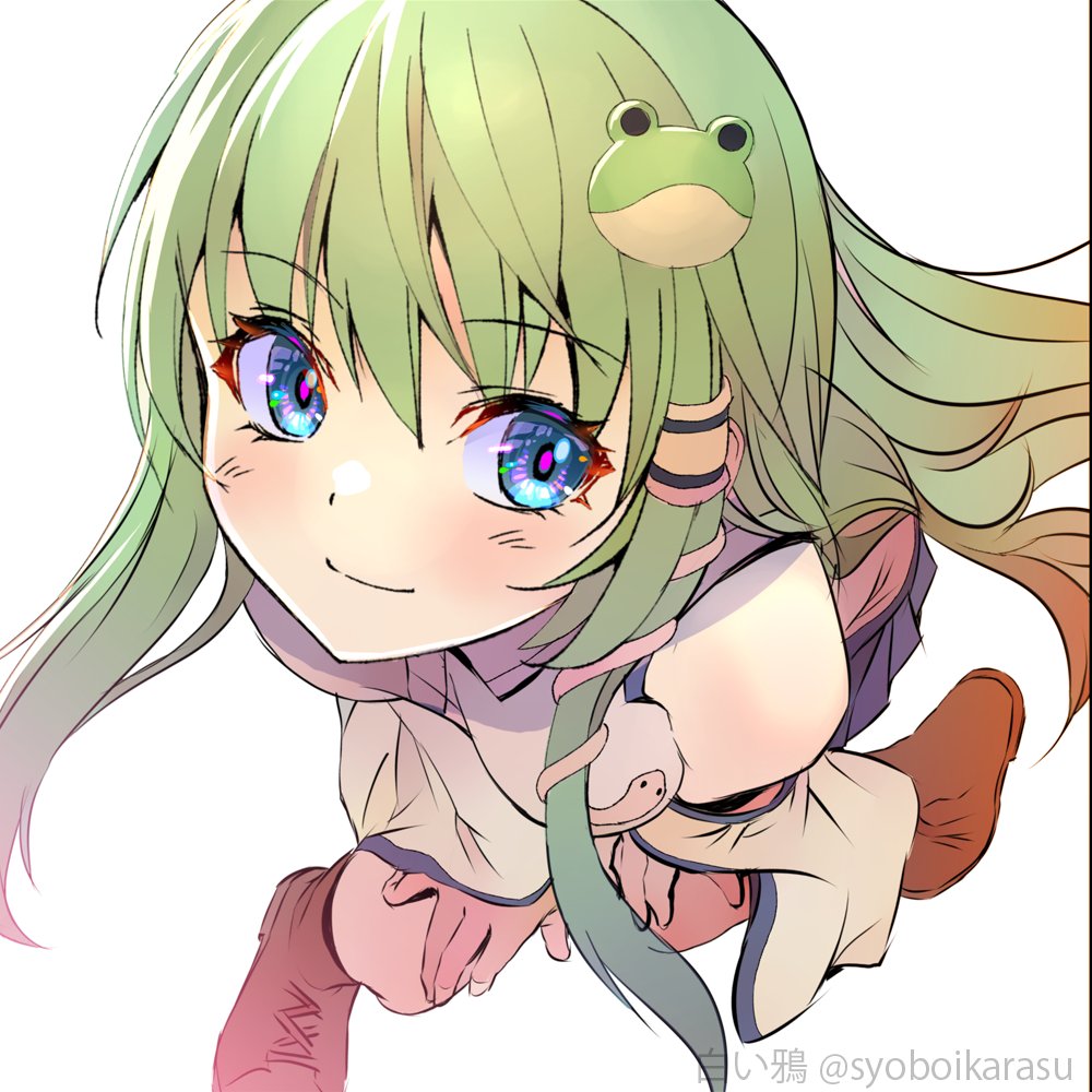Kochiya Sanae (Touhou) Rule 34 Image