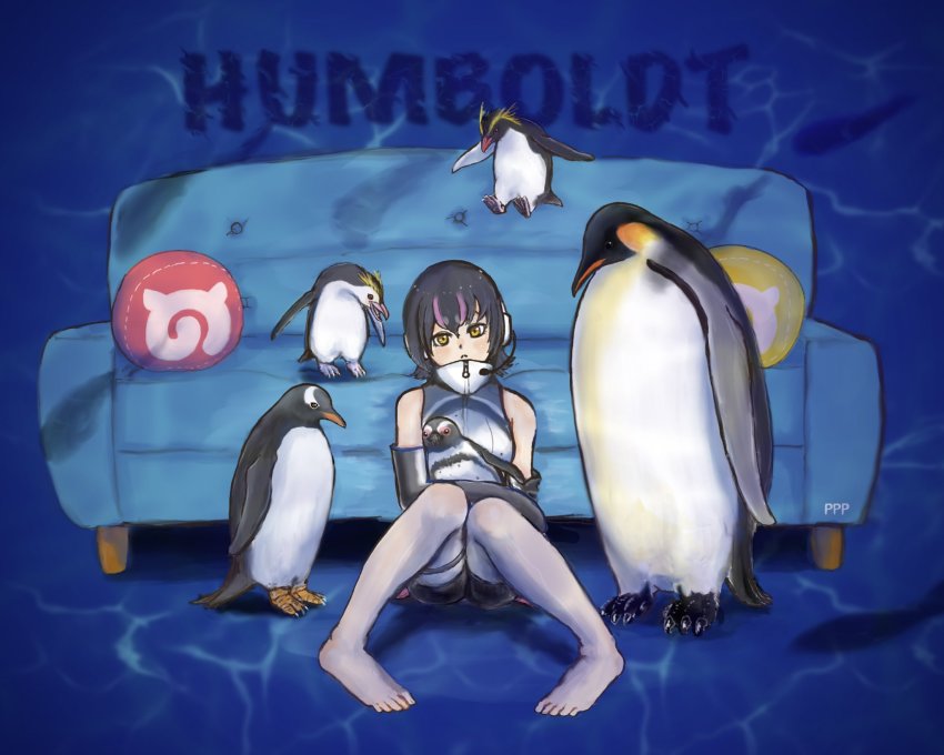 Humboldt Penguin (Kemono Friends) Rule 34 Image