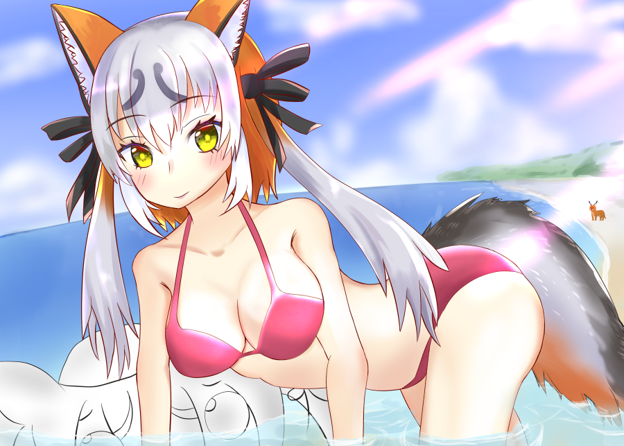 Island Fox (Kemono Friends) Rule 34 Image