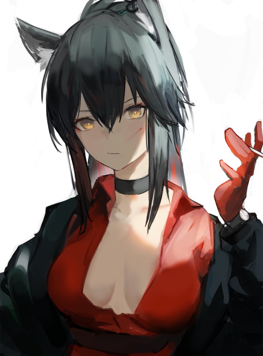 Texas (Arknights) Rule 34 Image