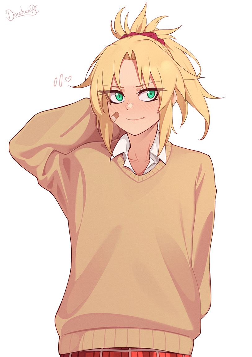 Mordred (Fate) Rule 34 Image