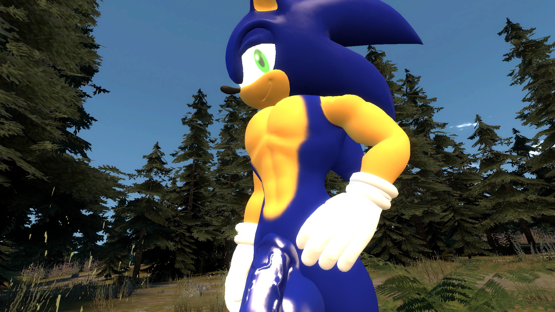 Sonic The Hedgehog (Garry'S Mod) Rule 34 Image