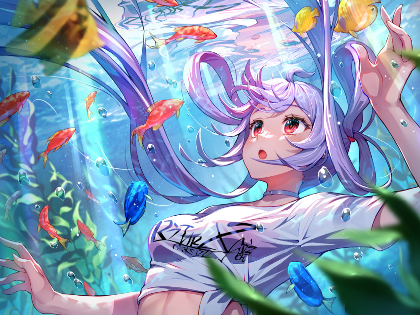 Matoi (Pso2) Rule 34 Image