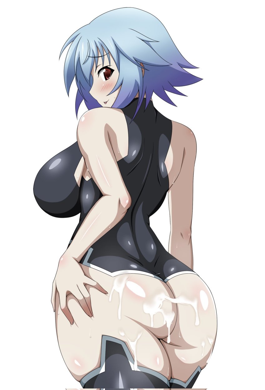 Sarashiki Tatenashi (Infinite Stratos) Rule 34 Image