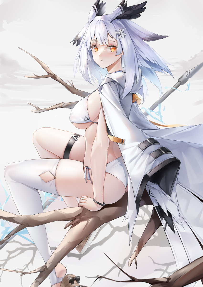 Ptilopsis (Arknights) Rule 34 Image